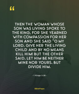 1 Kings 3:26 - Bible verse about mother's love