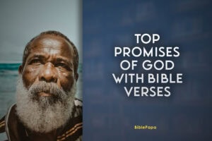 Top Promises of God